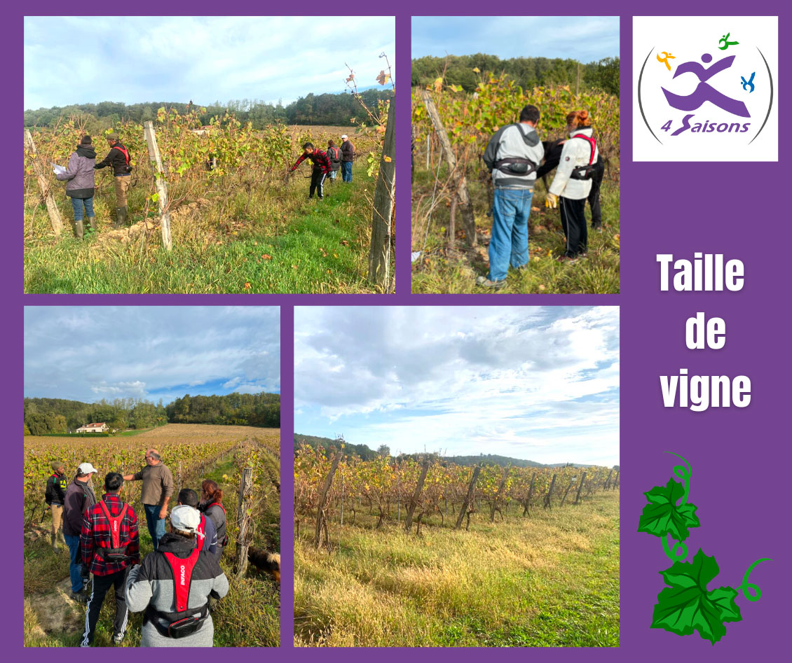 formation interne taille de vigne