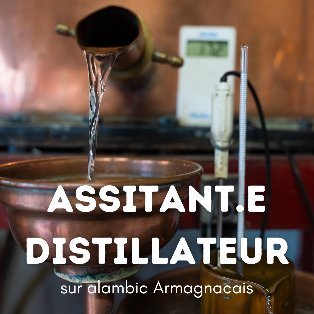 assistant distillateur