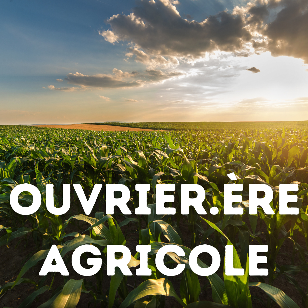 Ouvrier agricole