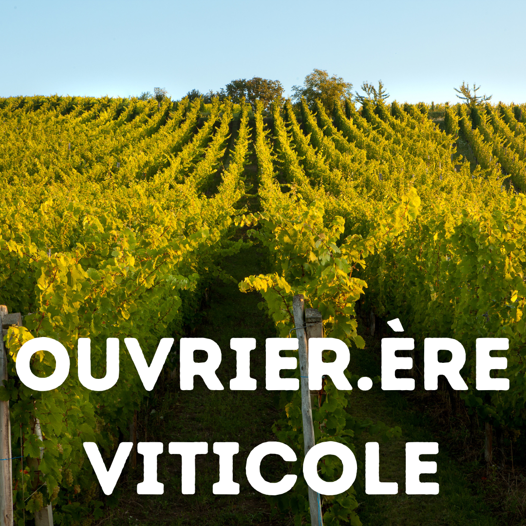 Ouvrier viticole