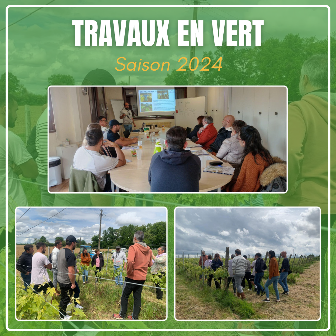 FORMATION INTERNE travauxenvert
