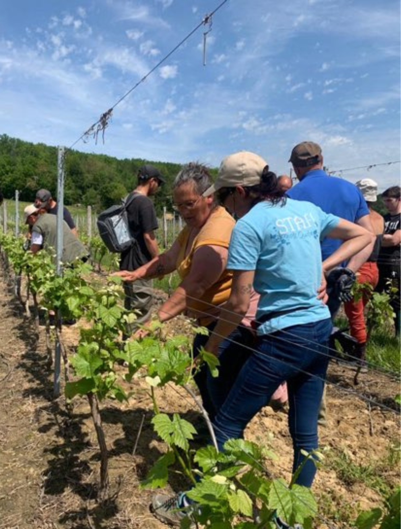 Formation interne "travaux en vert"
